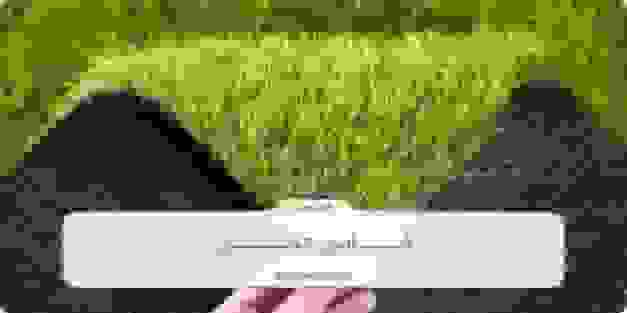 قیمت خرید چمن مصنوعی برای حیاط در شیراز در سال ۱۴۰۴