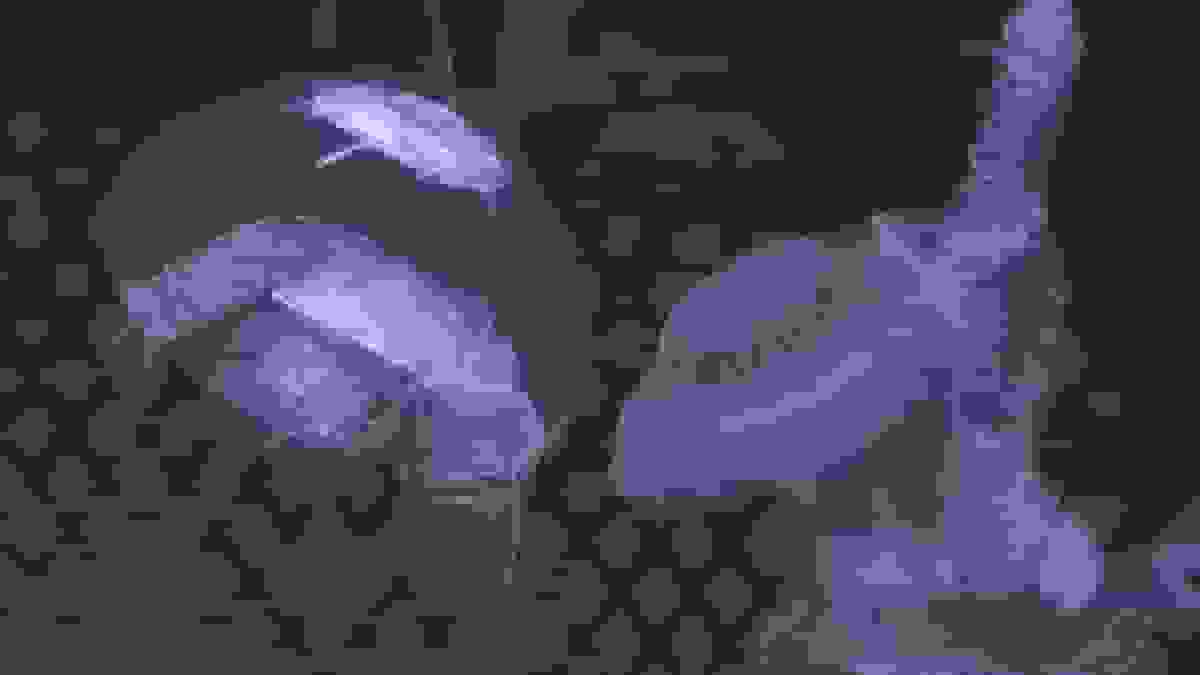 چین رباتی شبیه عروس دریایی برای مأموریت‌های مخفیانه زیر آب معرفی کرد