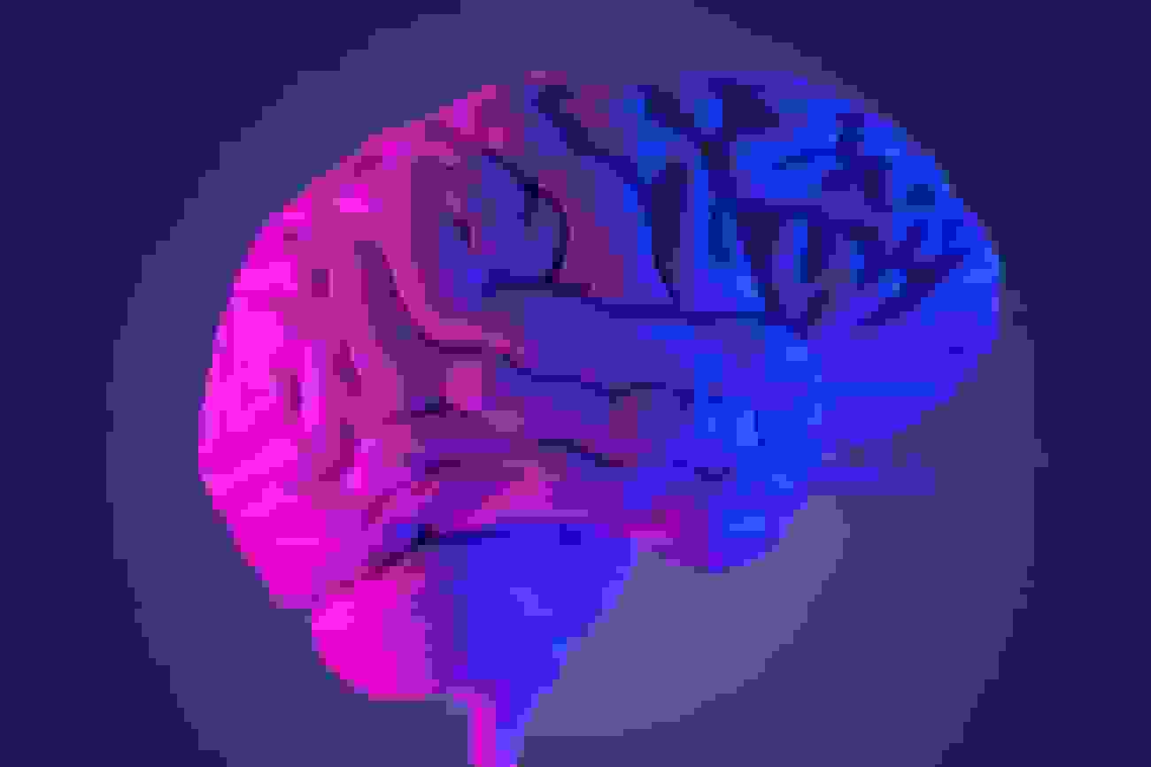 تحقیق جدید: مغز مردان سریع‌تر از زنان کوچک می‌شود