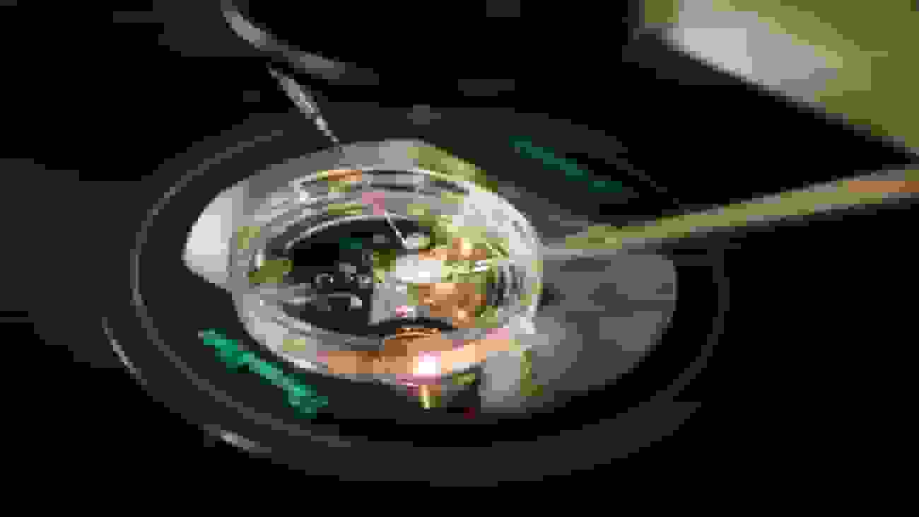 درمان ناباروری: تولید جنین انسانی از DNA پوست برای اولین بار