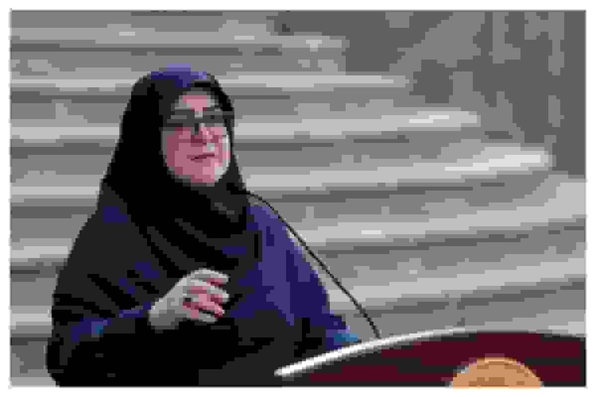 سخنگوی دولت: کار دانشگاه زمین مانده بود، یوتیوب را باز کردیم