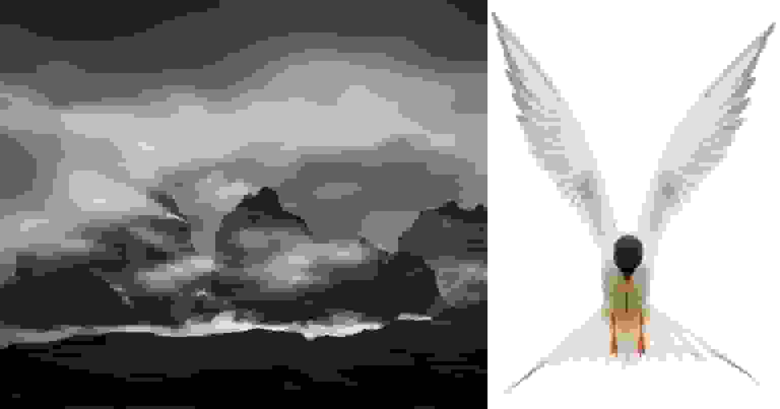 برندگان مسابقه عکاسی طبیعت 2026 انجمن عکاسی آمریکای شمالی معرفی شدند