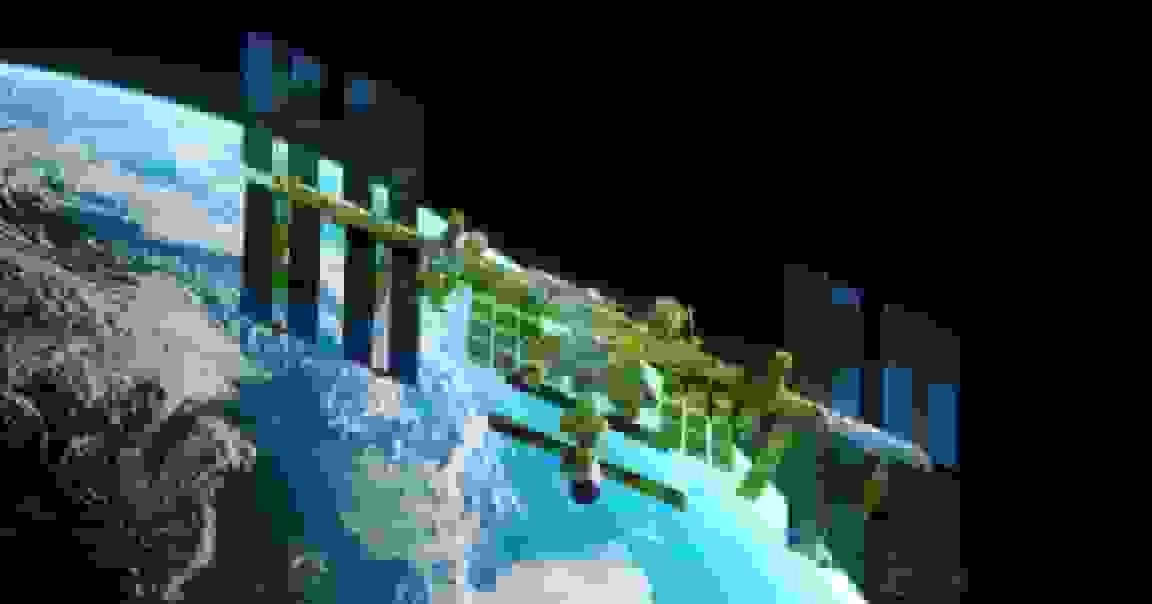 بقای خزه در ایستگاه فضایی بین‌المللی شگفت‌زده شدند