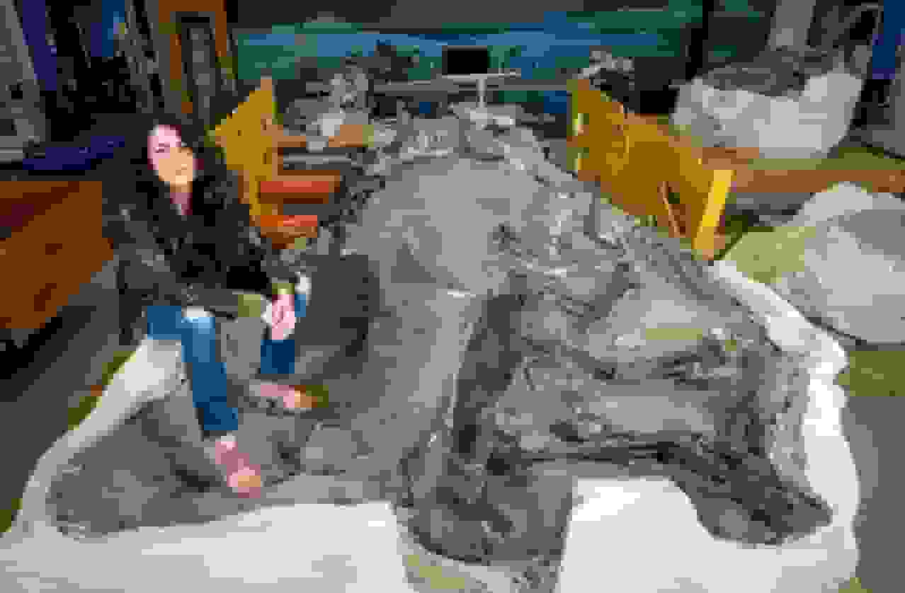 کشف گونه مستقل نانوتیرانوس: اسکلت منتسب به تی‌رکس نابالغ یک گونه جدید است