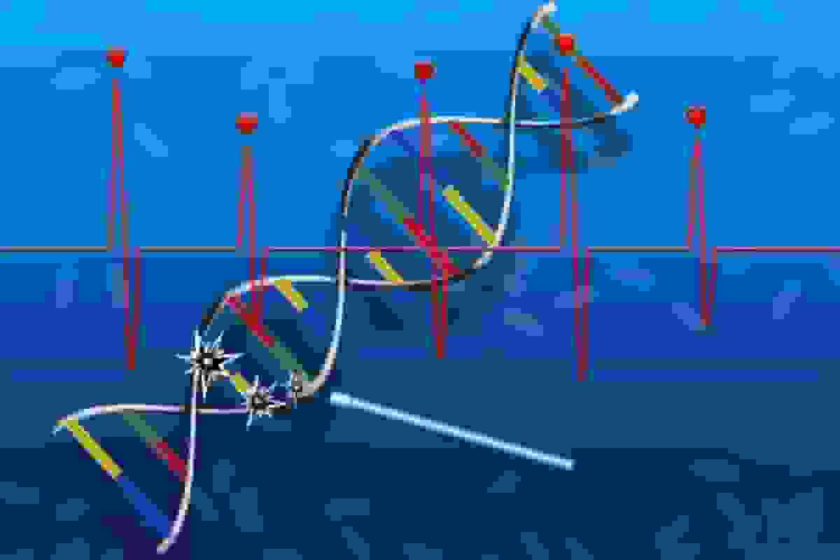 اولین دارو برای ترمیم DNA و بازسازی بافت آسیب‌دیده معرفی شد