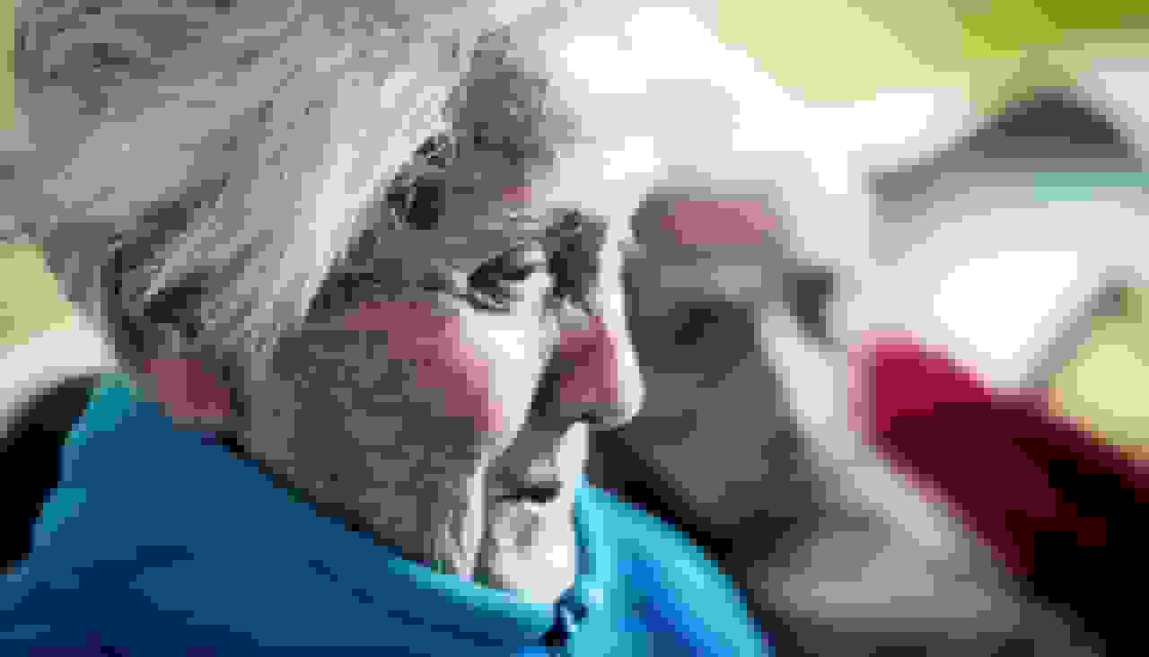 ابداع گجت پوشیدنی برای شناسایی نشانههای فرتوتی در سالمندان