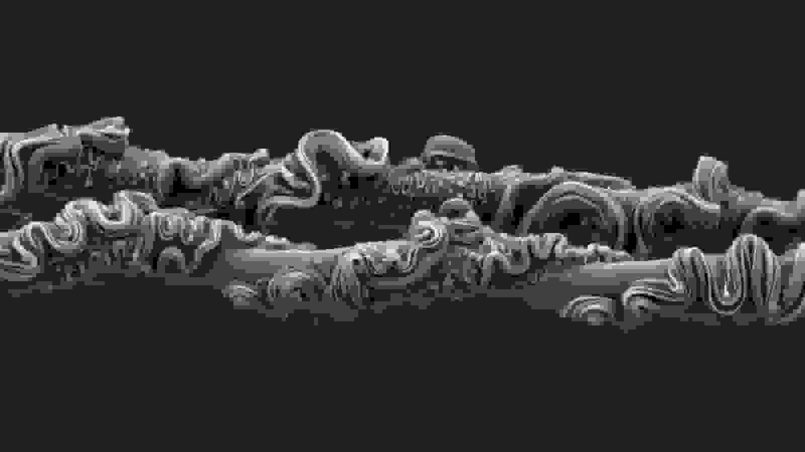 تار عنکبوت استرالیایی برنده مسابقه عکاسی علمی انجمن سلطنتی ۲۰۲۵