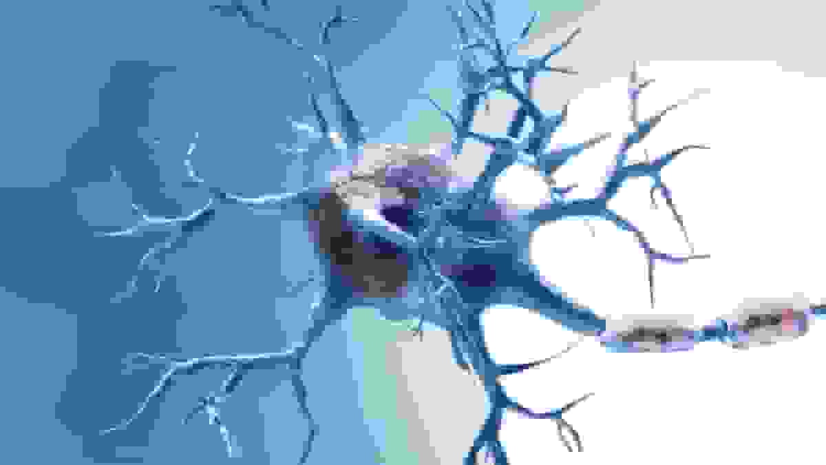 کشف پروتئینی که پیری مغز را در آزمایشگاه معکوس می‌کند