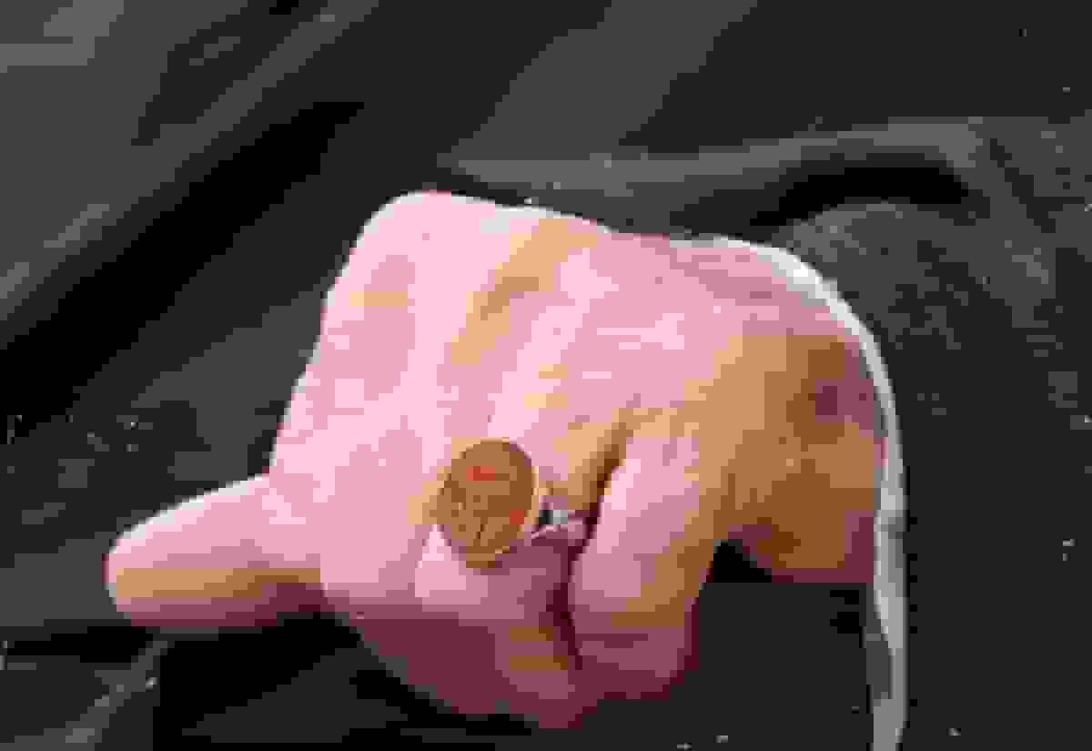 رویداد تجلی میثاق در فرهنگسرای انقلاب اسلامی