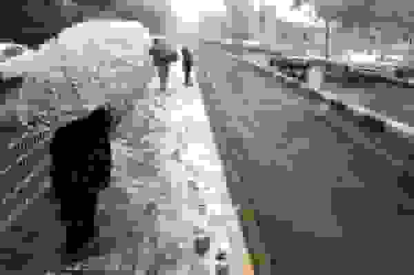 پیش‌بینی بارش برف و باران در برخی استان‌ها و ورود سامانه جدید