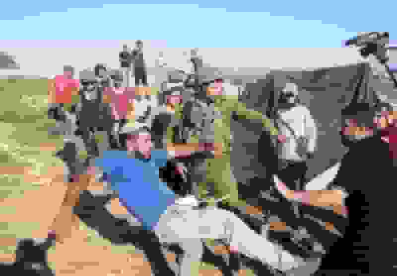 افزایش بی‌سابقه حملات شهرک‌نشینان اسرائیلی در فصل برداشت زیتون کرانه باختری