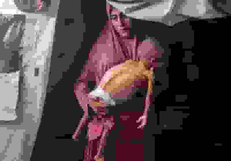 یونیسف: آتش‌بس برای حل بحران انسانی غزه کافی نیست/ کودکان گرسنه می‌خوابند