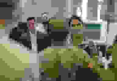 سفر ناگهانی مدیر اطلاعات ملی آمریکا به سرزمین‌های اشغالی و دیدار با مقام‌های اطلاعاتی اسرائیل