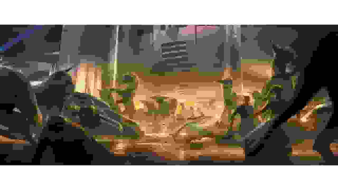 شایعه: بازی جدید جنگ ستارگانی در حال توسعه