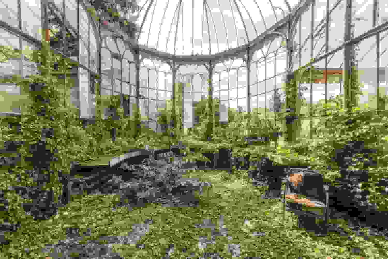 طبیعت رها شده گلخانه‌های متروک را در تصاویر رومن ویلون تسخیر می‌کند