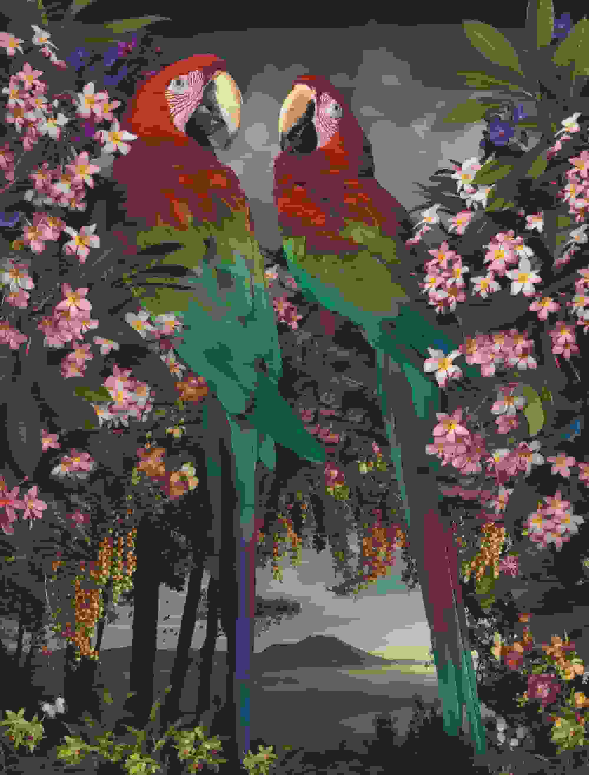 عکاسان معاصر در استرالیا و نیوزیلند مفهوم 'اکسپوژر' را تعریف می‌کنند