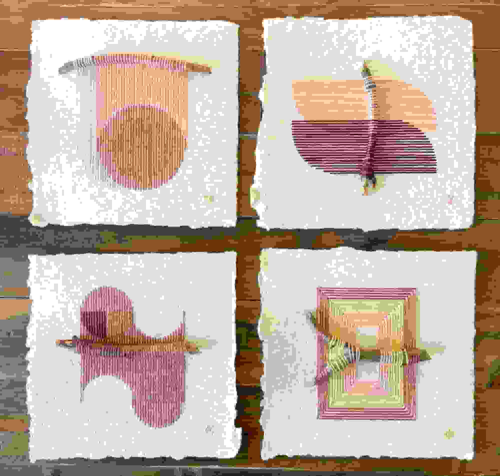 کلاژهای تأملبرانگیز ناتالی سیچوریچو در مورد طبیعت و اندوه در مجموعههای 'لانهسازی' و 'پیچیده'