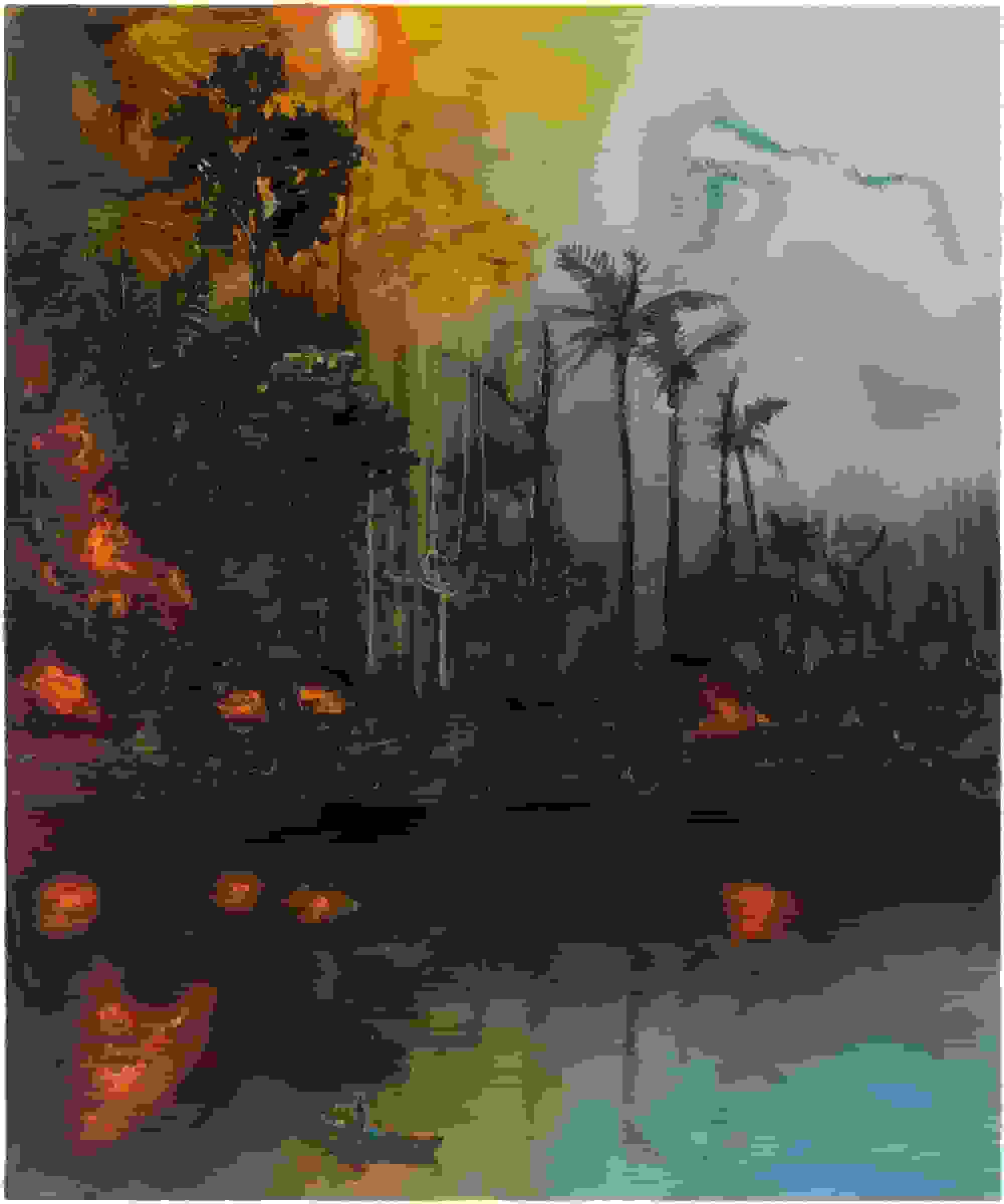 الکسیس راکمن و روند نگران‌کننده بحران آب‌وهوا در 'حلقه بازخورد'