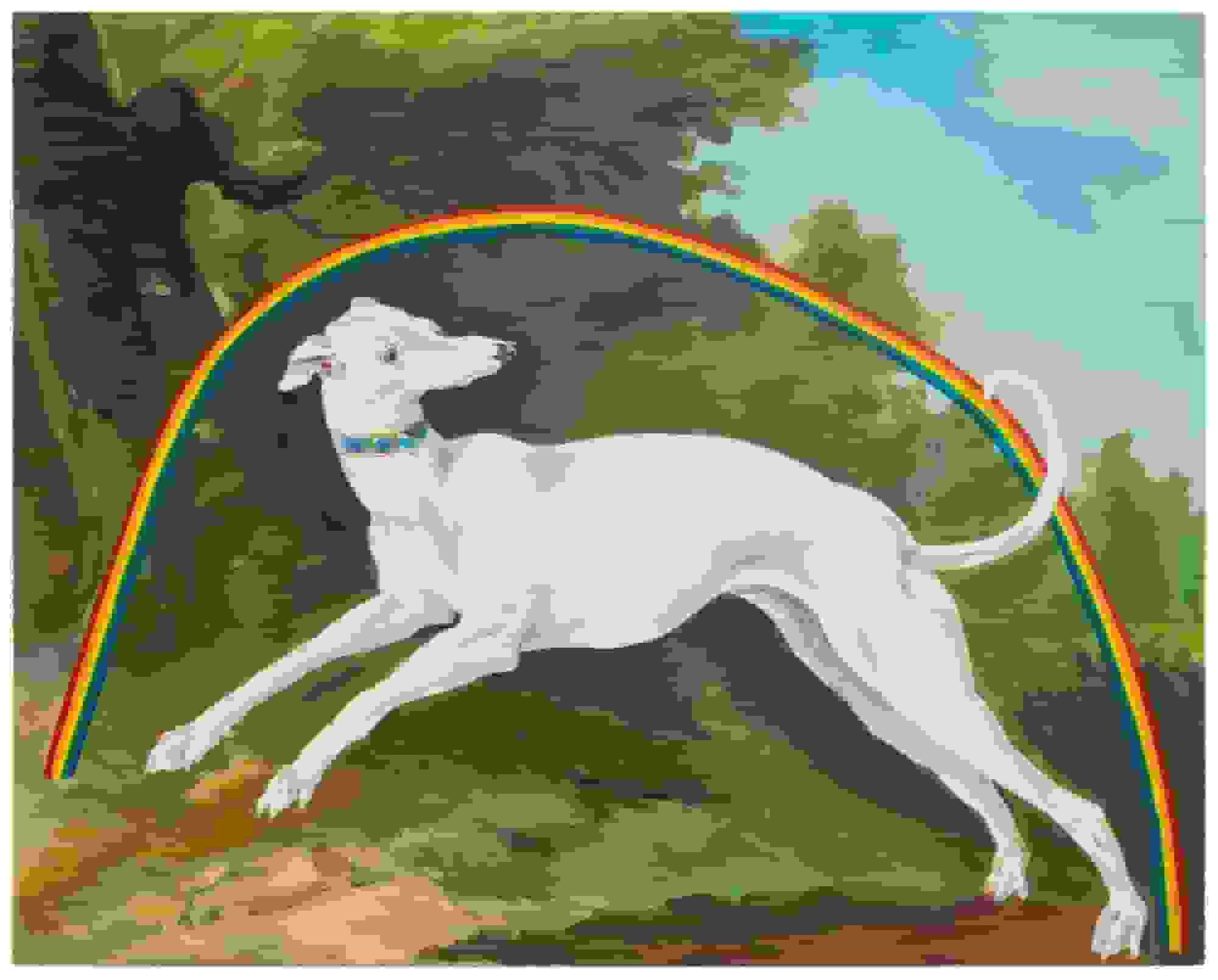 سگ‌ها و پرندگان هنری به عنوان آواتارهای کوئیر در نقاشی‌های احساسی اسکات کسوک