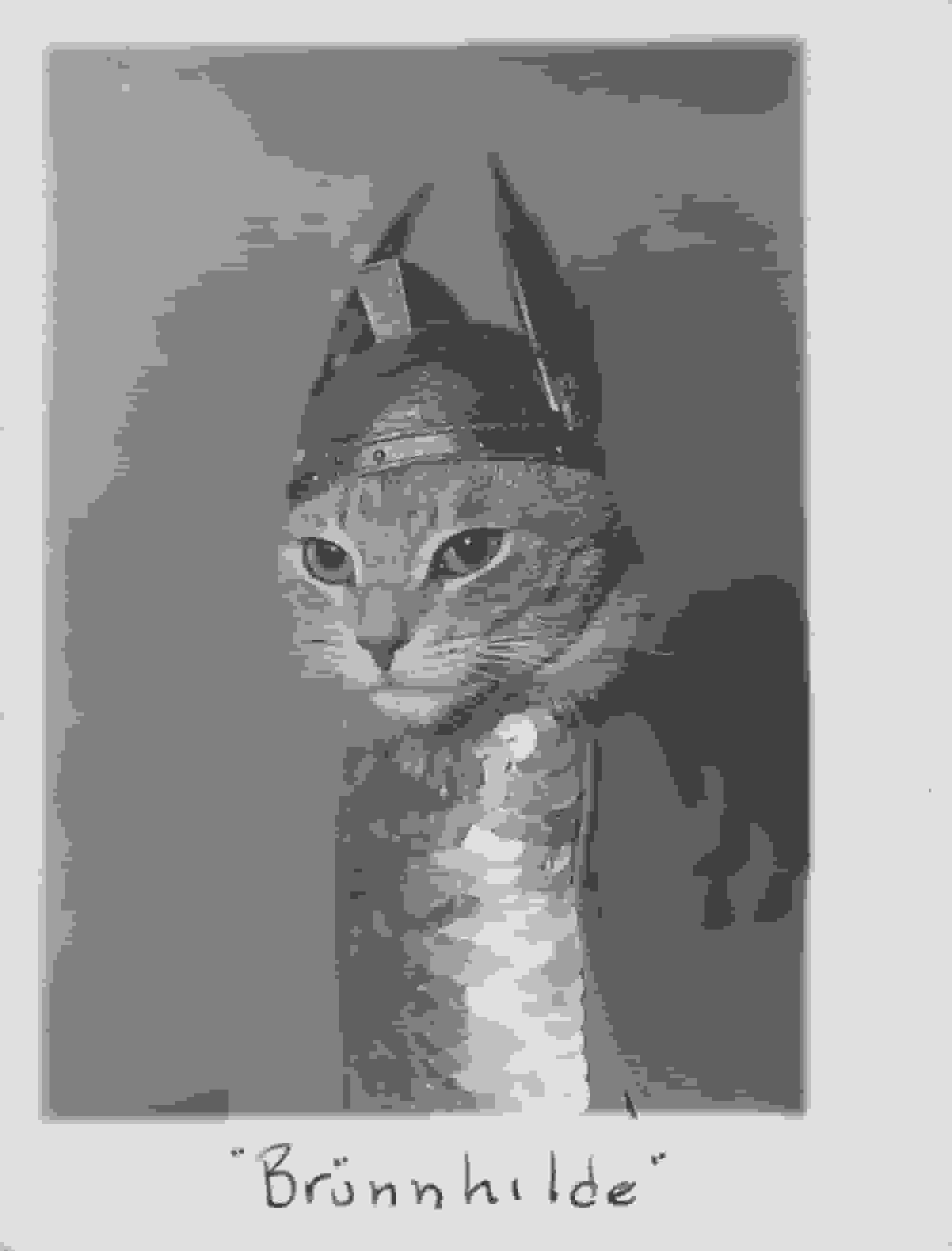 کتاب 'گربه': جشن‌واره‌ای از گربه‌ها در هنر در طول قرن‌ها