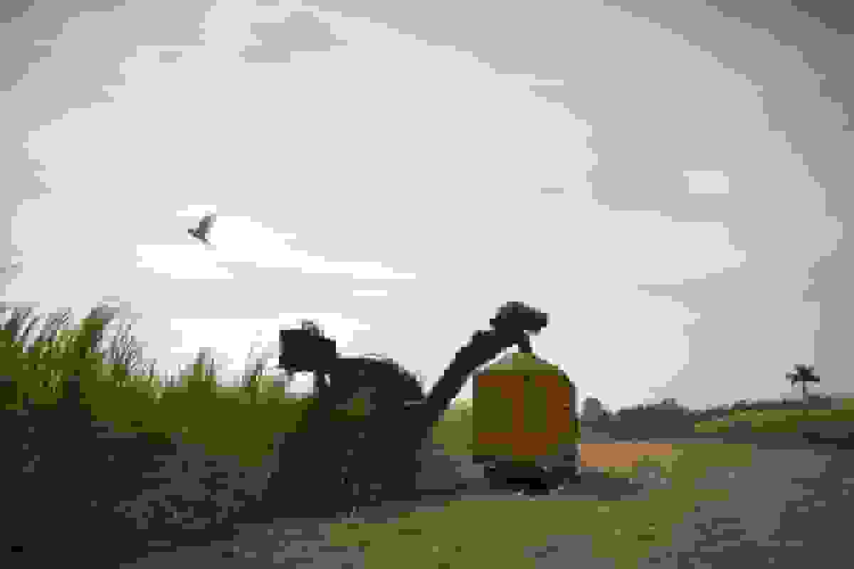 مکزیک تعرفههای سنگین ۲۱۰ درصدی بر شکر وارداتی وضع کرد