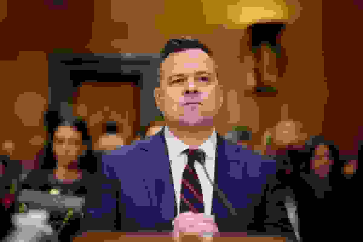 بیل پولت: فانیمی و فردیمک در حال بررسی سرمایهگذاری در شرکتهای فناوری