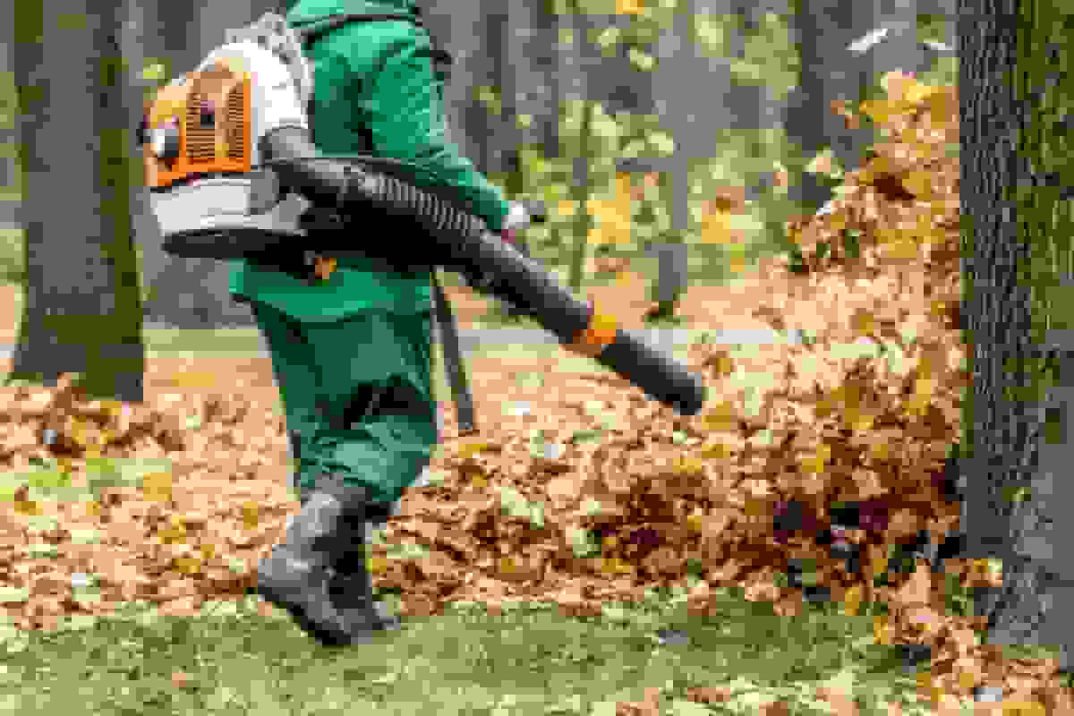 چگونه ساکنان نیوجرزی استفاده از دستگاههای برگی را در شهر خود ممنوع کردند