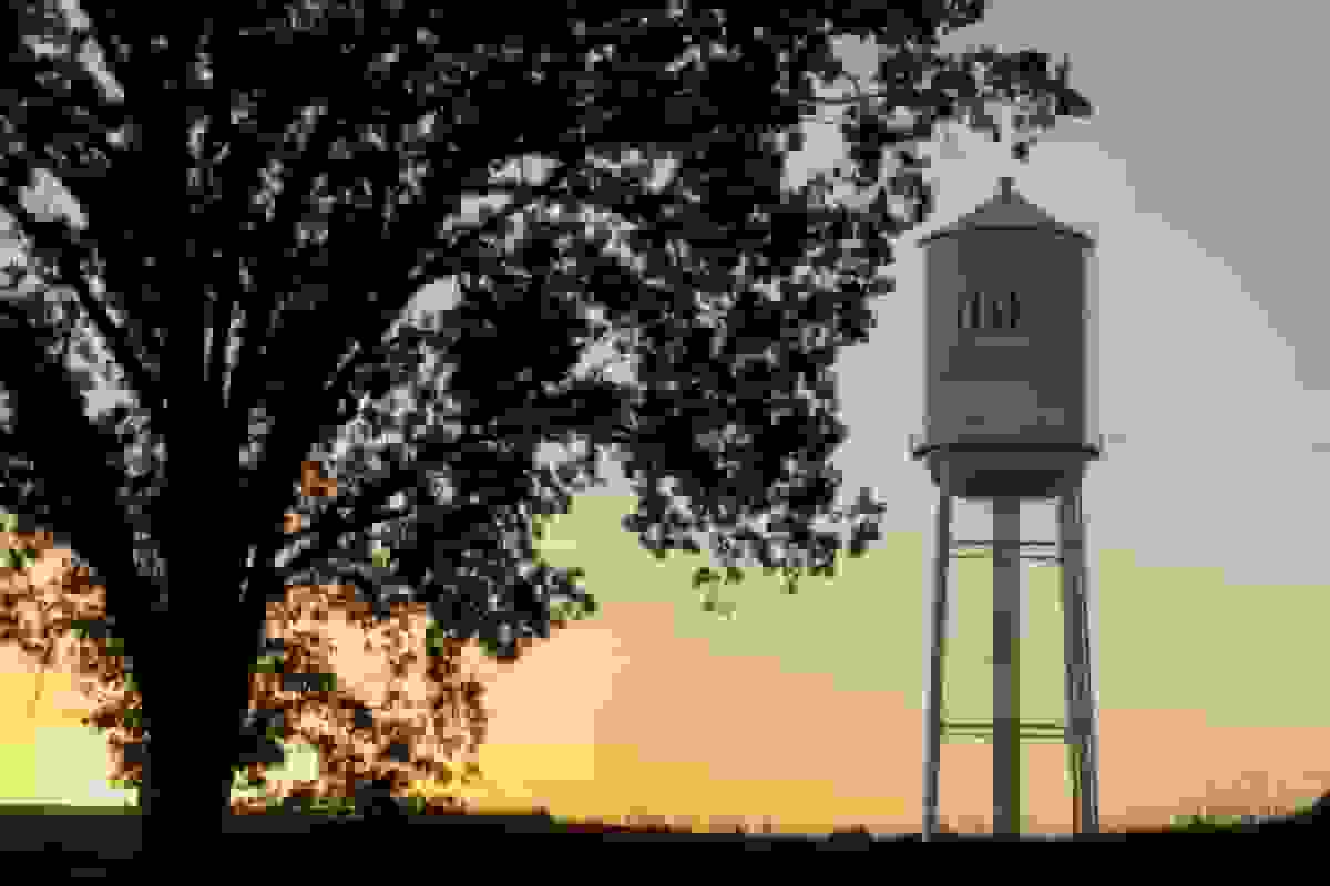 تبدیل استودیوی فیلمسازی تاجر چیک-فیل-ای از اسپایدرمن به سازندگان محتوای دیجیتال