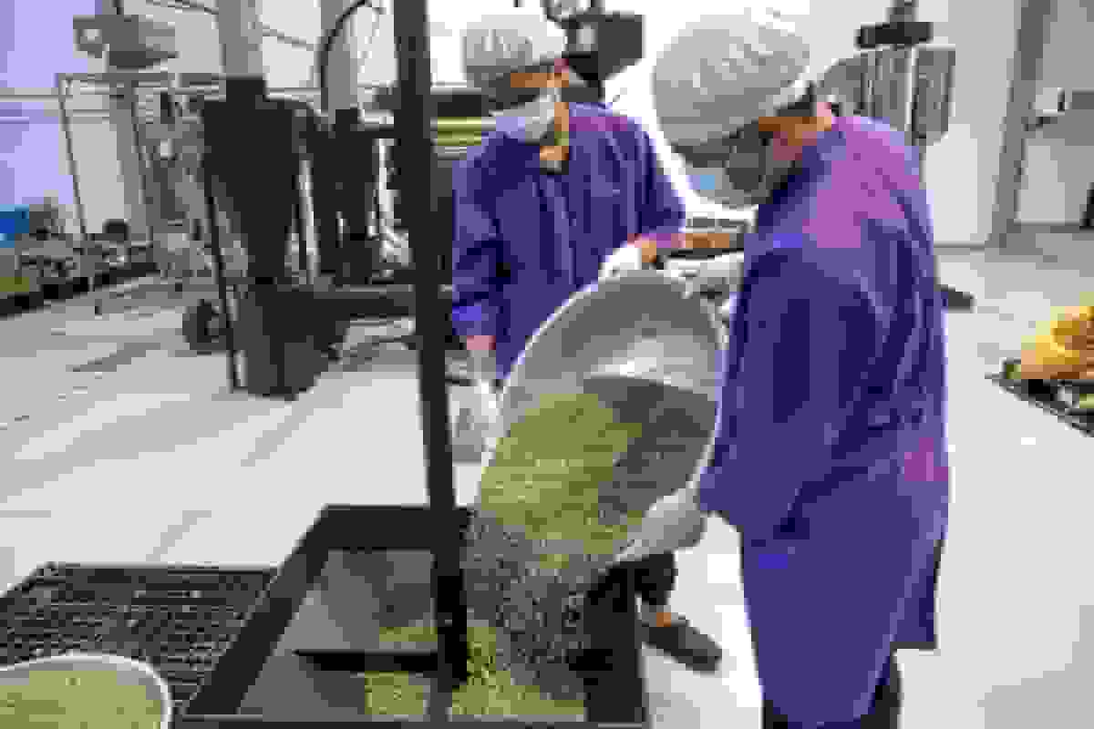 افت قهوه روبوستا با تردید معاملهگران بین طوفان ویتنام و صادرات