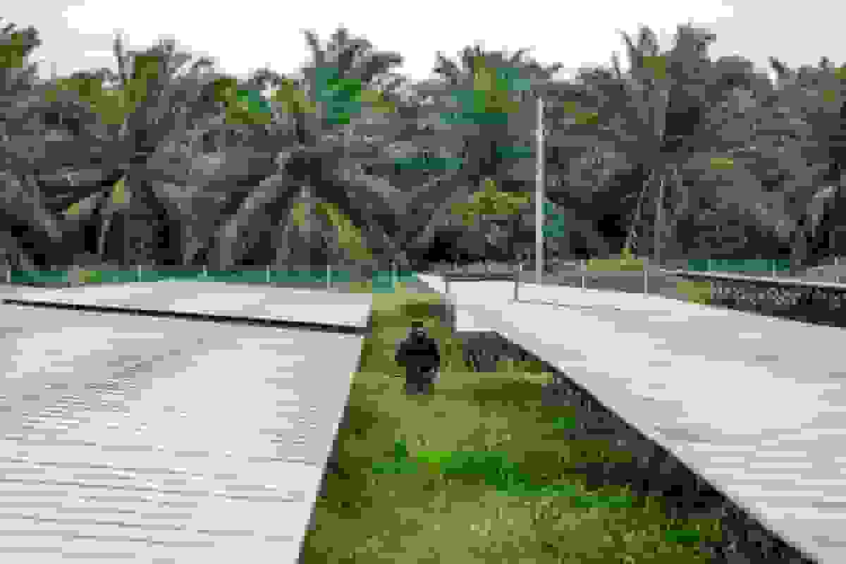 رونق هوش مصنوعی مزارع نخل مالزی را به مراکز داده تبدیل میکند