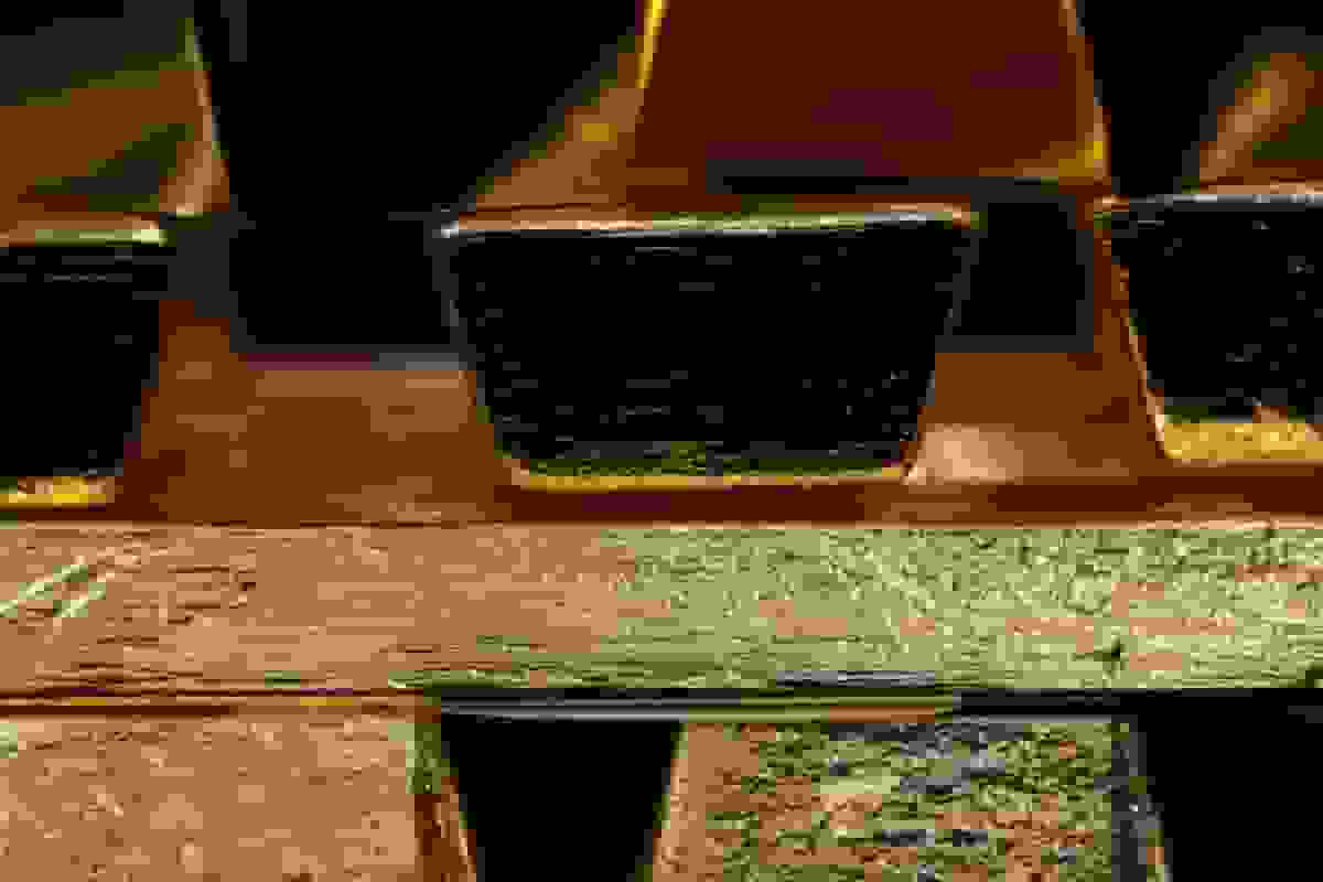 عدم اعتماد به دلار عامل رالی طلا و بیتکوین است