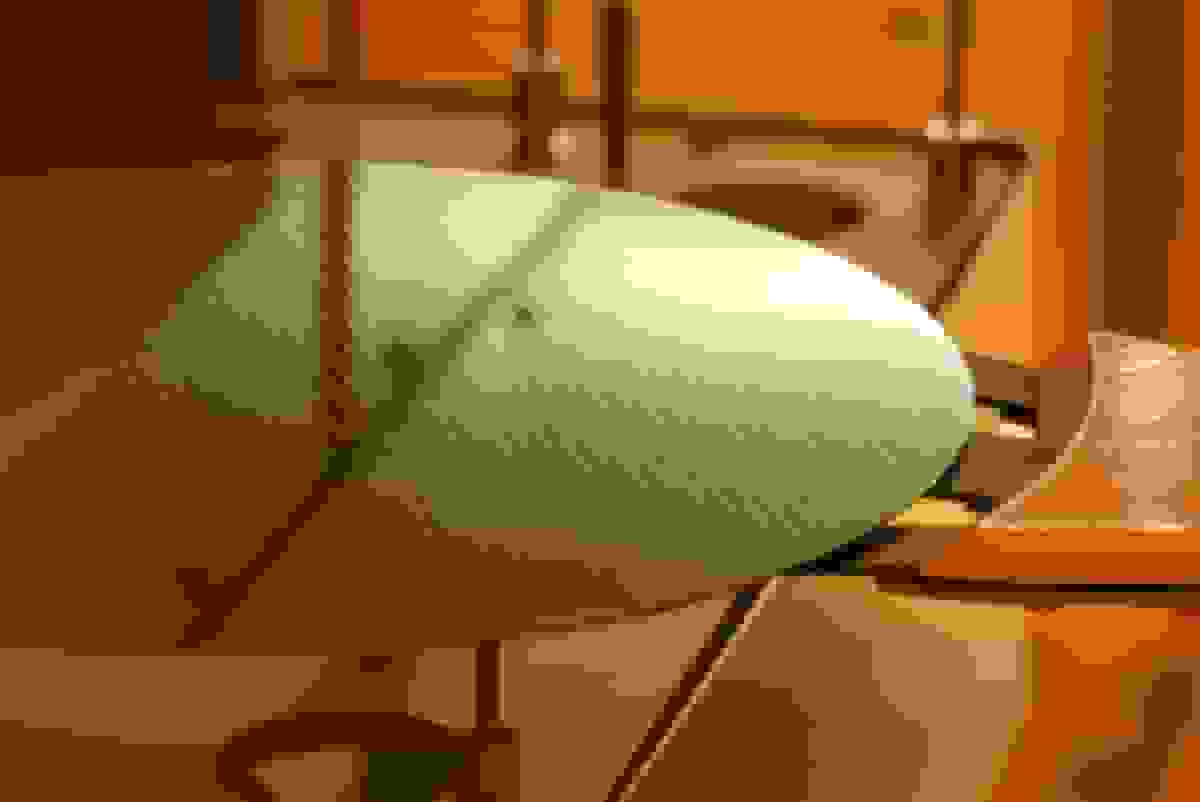 نیکسپریا هشدار میدهد مشتریان با توقف تولید قریبالوقوع روبرو هستند