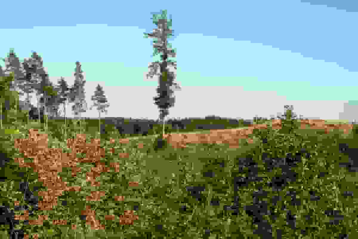 رهبران اتحادیه اروپا خواستار اولویتدهی به صنعت در بحث تغییرات آبوهوایی میشوند