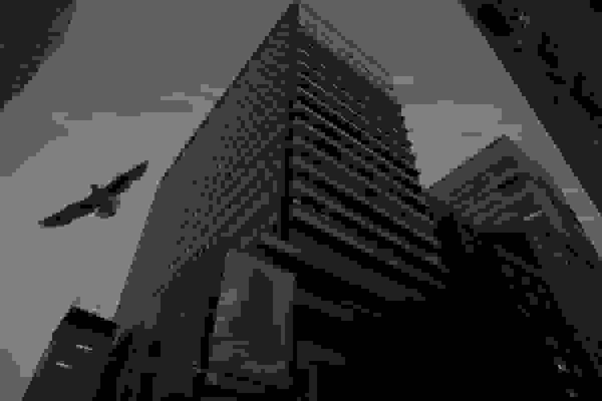 استرالیا احتمالاً افزایش نرخ بهره را زودتر از موعد در نظر میگیرد