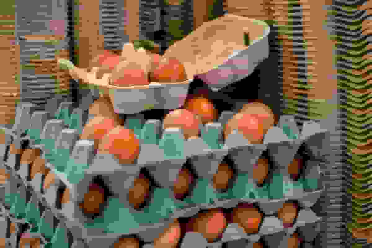 تورم ثابت بریتانیا معاملهگران را به شرطبندی روی کاهش نرخ بهره در دسامبر سوق میدهد