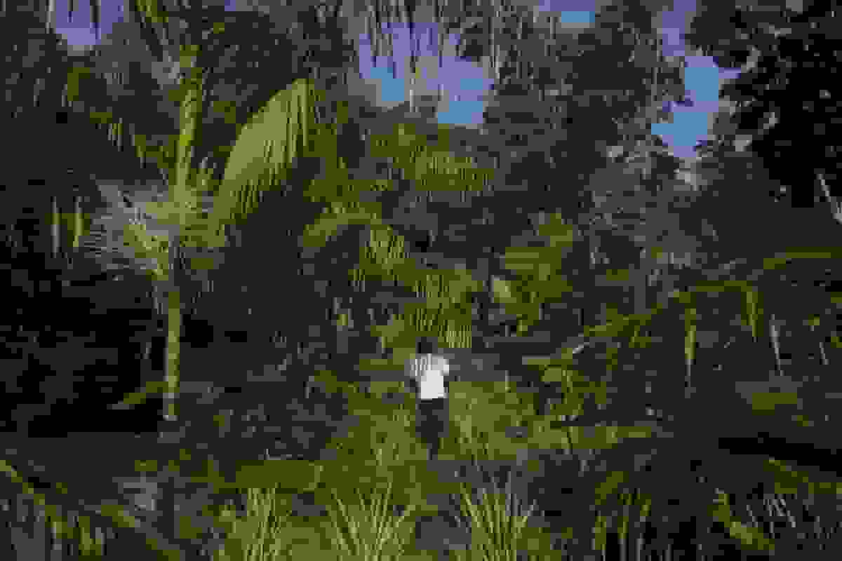 نجات یکی از مهمترین مخازن کربن جهان به تجارتی بزرگ تبدیل شده است