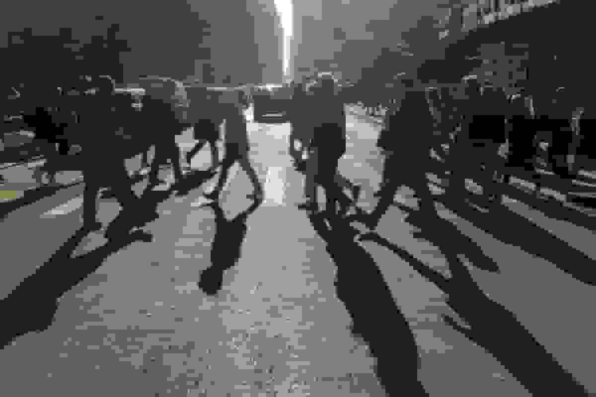 افزایش تعداد وامگیرندگان پرریسک در کنار رشد وامهای شخصی