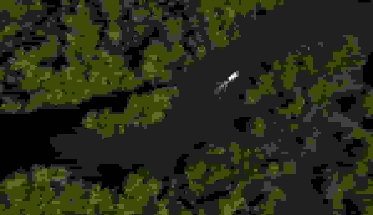 پتروبراس برنده مبارزه طولانی مدت برای اکتشاف نفت در نزدیکی آمازون شد