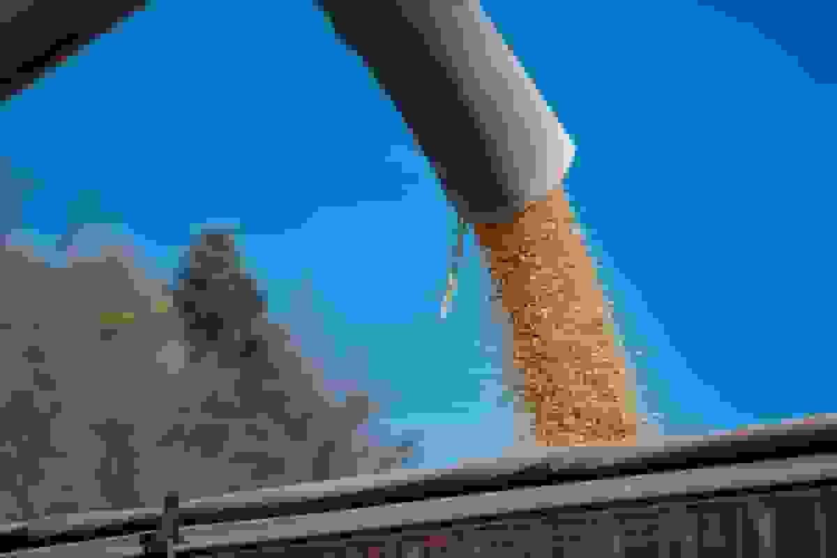 بسنت: چین در مسیر تحقق هدف خرید سویای آمریکا قرار دارد