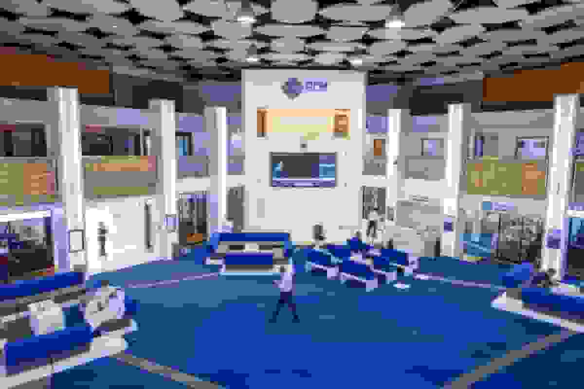 شرکت دبیزل ارائه عمومی اولیه را به تعویق انداخت