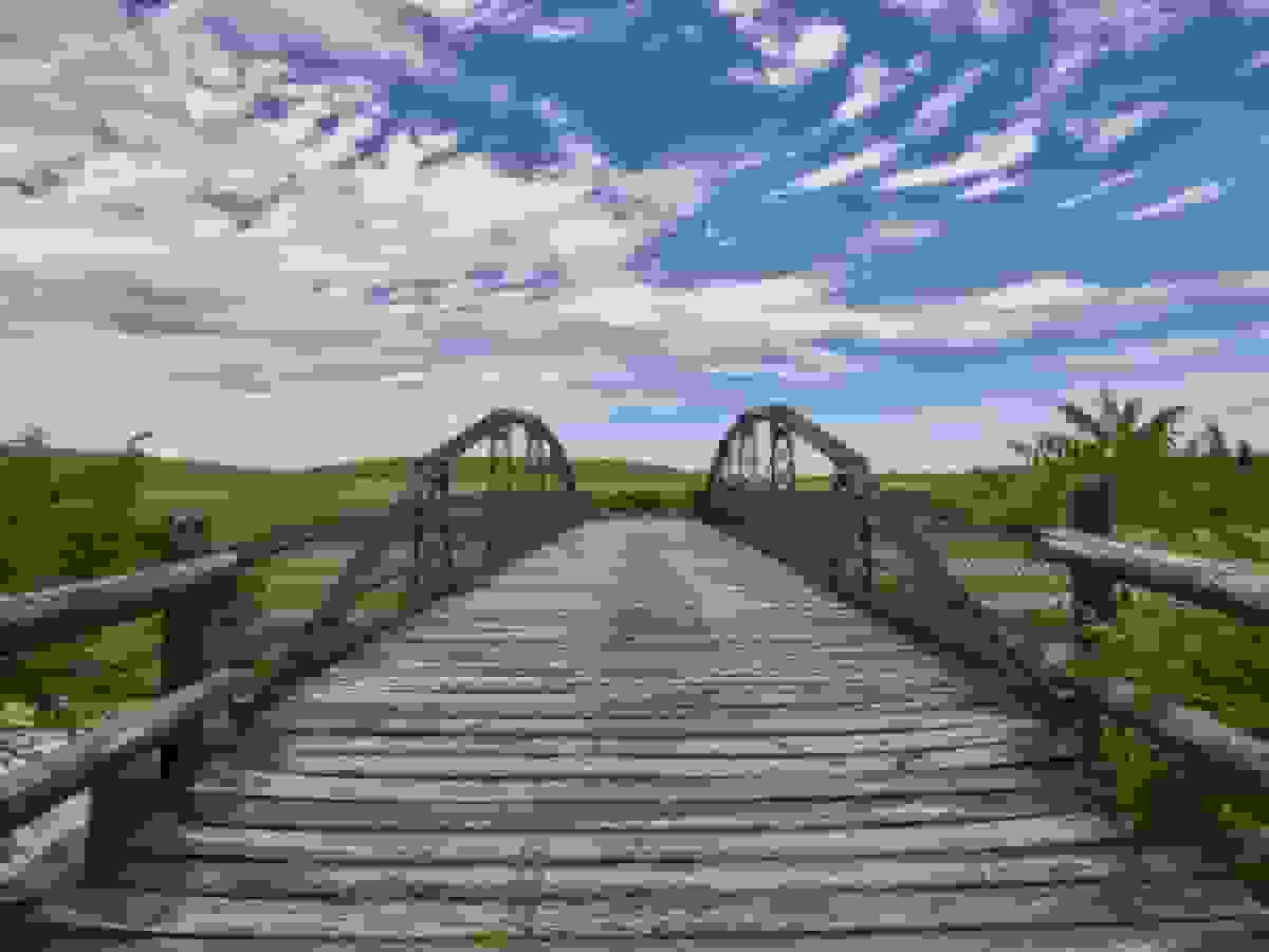 داستانهای محبوب هفته CityLab: بازگشت طولانی کانال اری