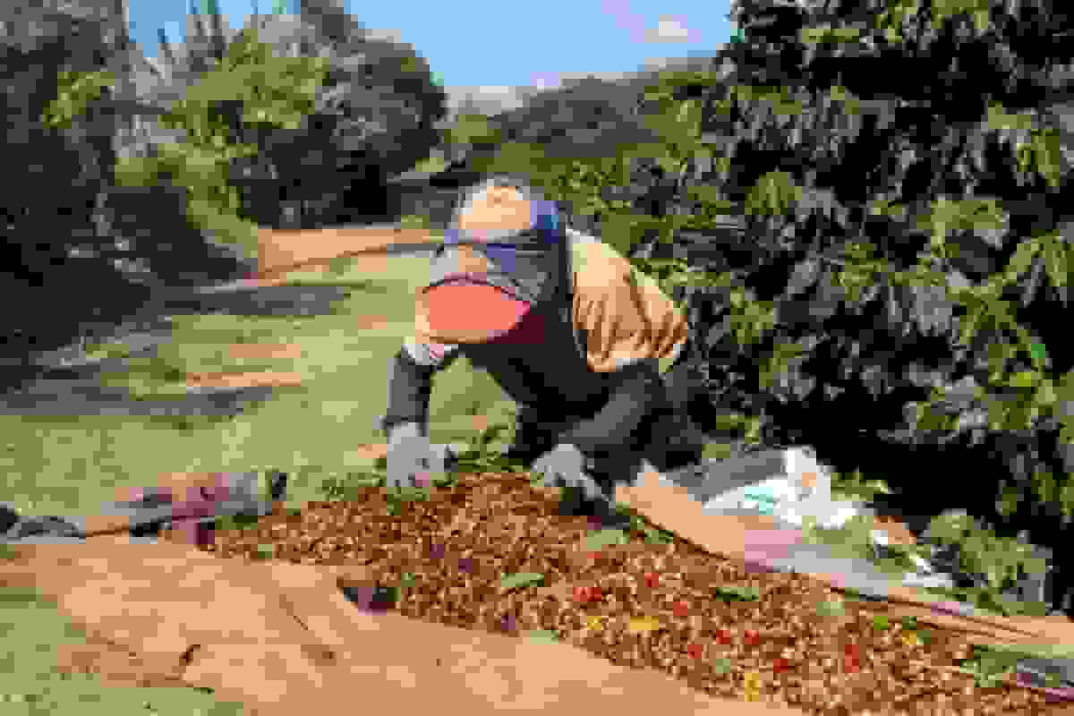 لولا در رویارویی با ترامپ پیروزی تعرفهای برای برزیل به دست آورد