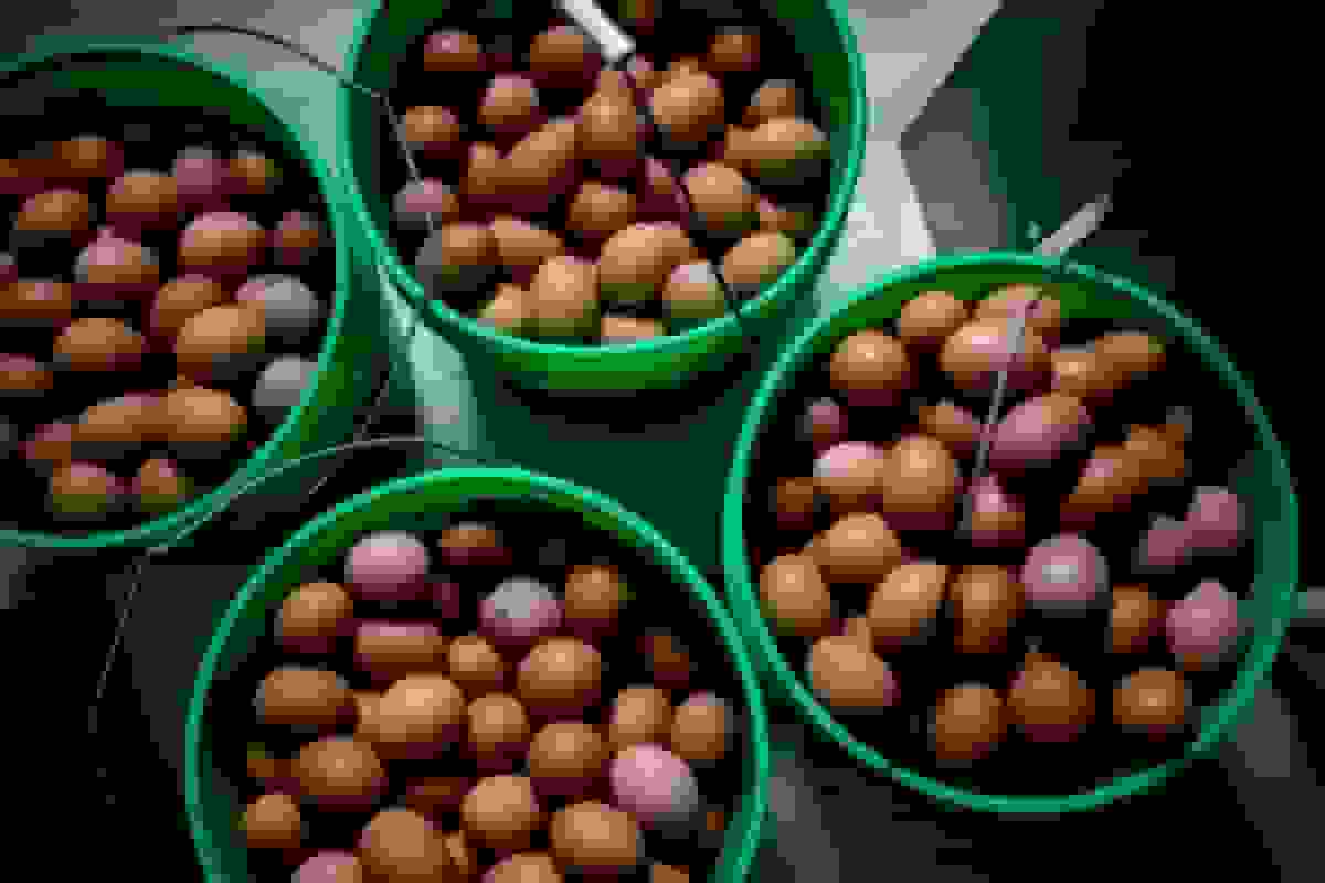 خرید هیکمن ایگ رانچ توسط سرمایهگذاری مشترک جیبیاس برای ورود به بازار تخممرغ آمریکا