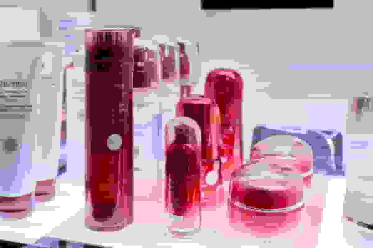 سقوط ۱۱ درصدی سهام شرکت شیسِیدو به دلیل هشدار سفر چین به ژاپن