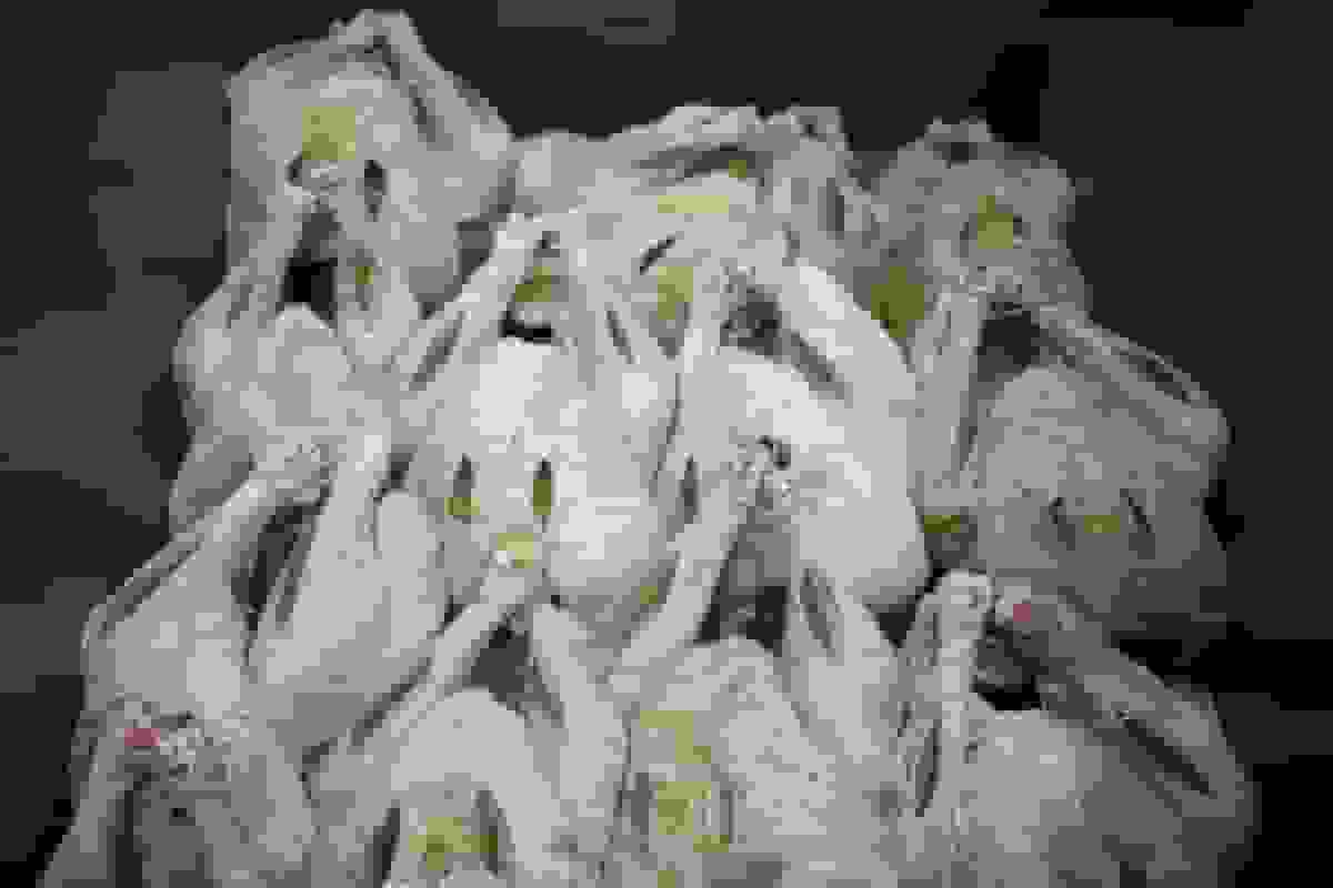 قیمتهای بالای بوقلمون بانکهای غذا را قبل از شکرگزاری تحت فشار قرار میدهد