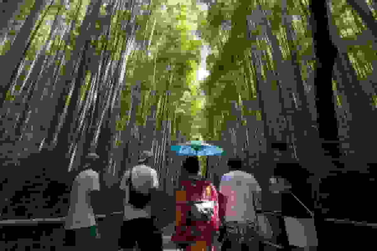 سقوط سهام گردشگری ژاپن پس از هشدار چین درباره سفر و تحصیل