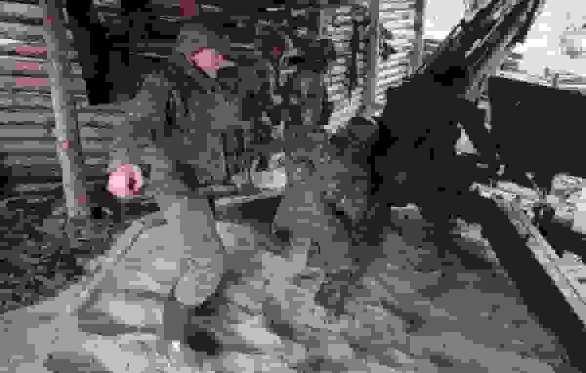 ارتش روسیه هفت منطقه در اوکراین را در طول یک هفته آزاد کرد