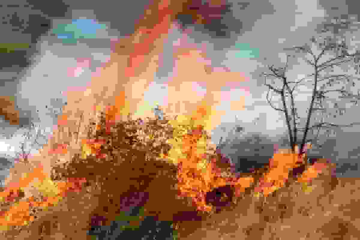 سخنگوی قوه قضائیه: آتش زدن عمدی جنگلها ۳ تا ۱۰ سال حبس دارد