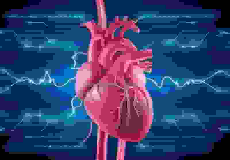 ۶۰۰ هزار مبتلا به نارسایی قلبی در ایران و هشدار درباره افزایش آمار با مسنشدن جامعه