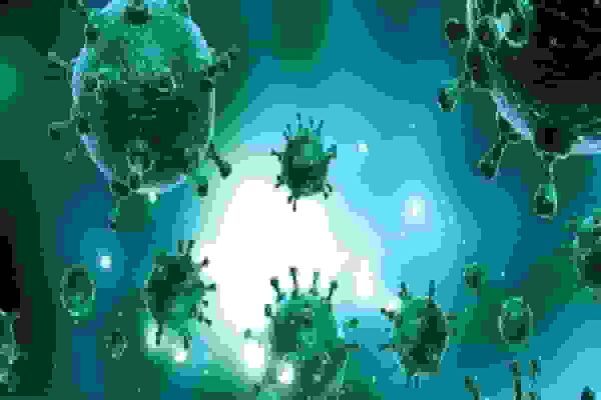 ثبت اولین مرگ ناشی از آنفلوآنزای H۳N۲ در هرمزگان